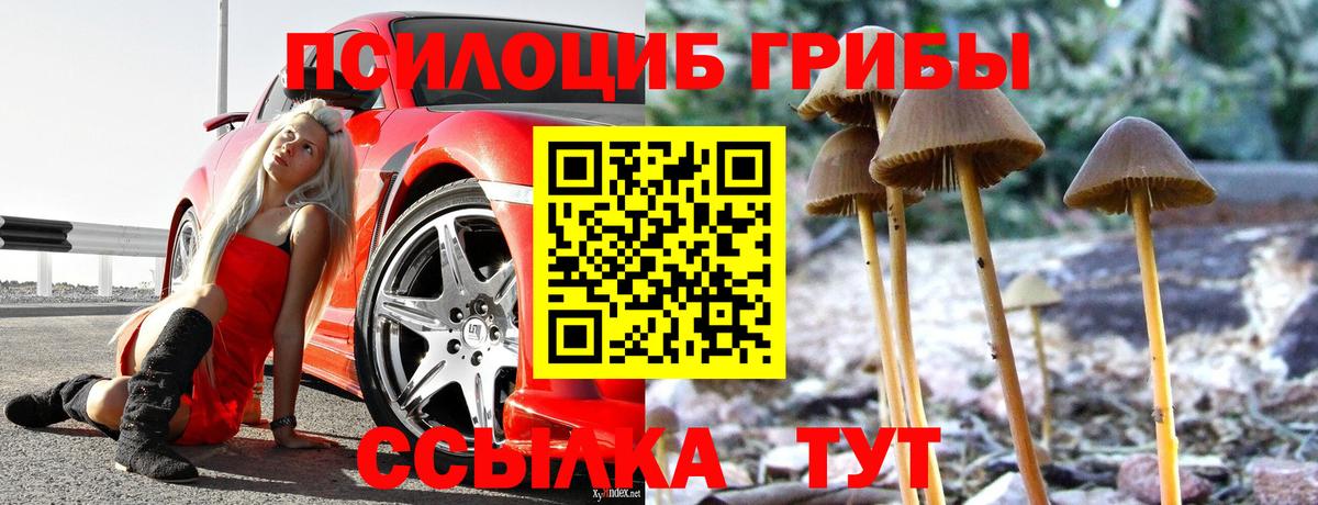 Псилоцибиновые грибы Magic Shrooms Кропоткин
