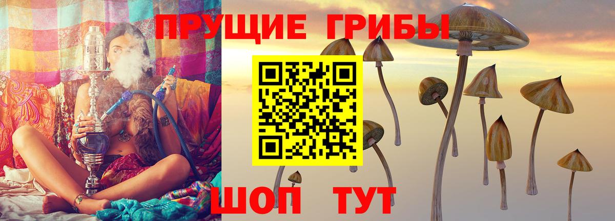 Кропоткин  Галлюциногенные грибы мухоморы  Вход с VPN  Псилоцибиновые грибы Cubensis 